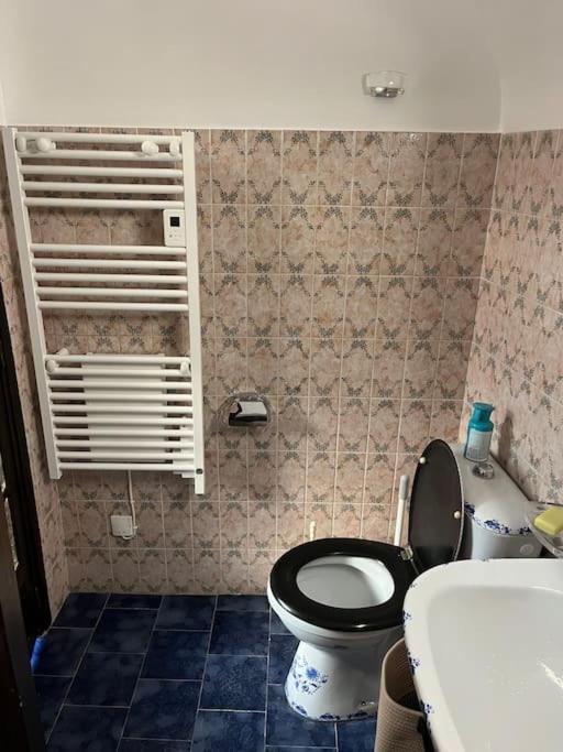 Maison Cevenole Typique Et Son Jardin Suspendu