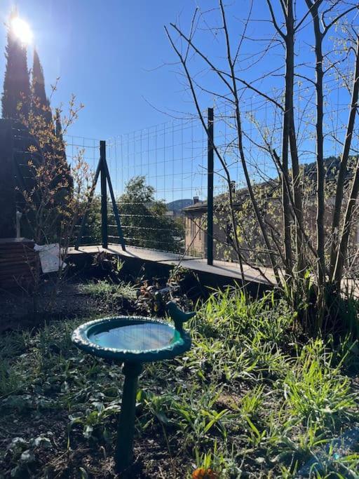 Maison Cevenole Typique Et Son Jardin Suspendu Holiday home