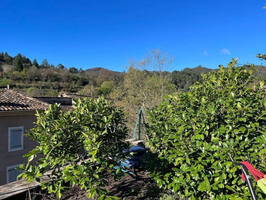 Holiday home Maison Cevenole Typique Et Son Jardin Suspendu *